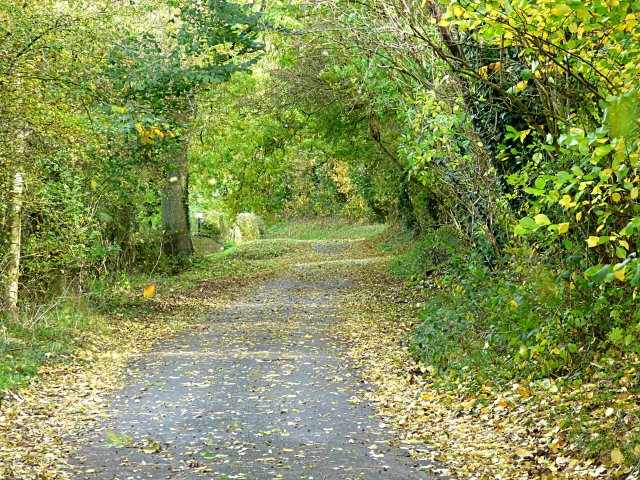 x hobhurst, ballcross, bakewell, sheffield weekend 014