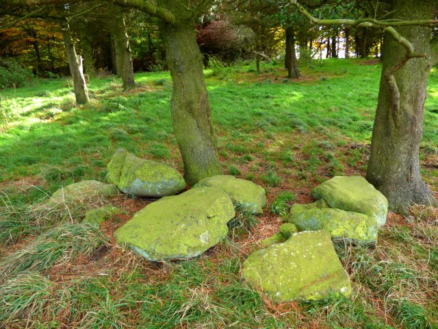 x hobhurst, ballcross, bakewell, sheffield weekend 068