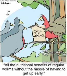 'All the nutritional benefits of regular worms without the hassle of having to get up early.'