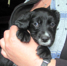 Cash-Update-19-06-11A