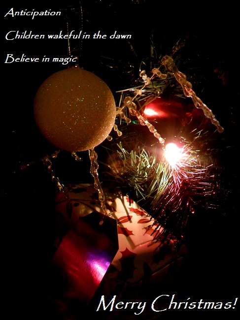 Christmas Sue Vincent