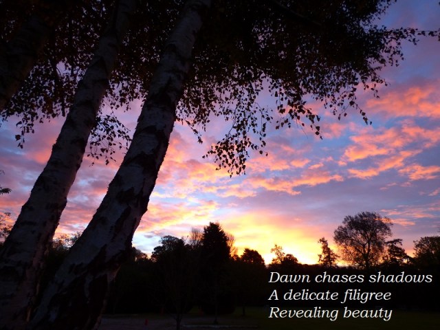 dawn filigree sue vincent