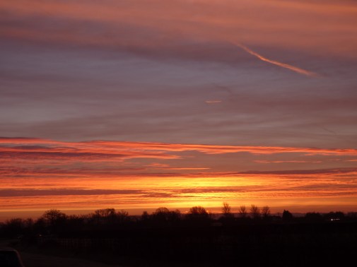 december dawn 001 sue vincent (42)