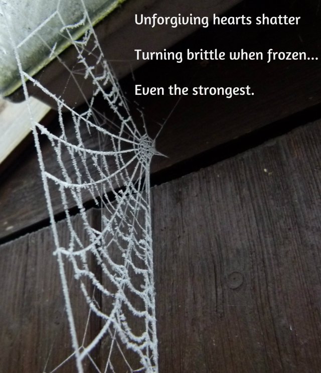 spider silk sue vincent