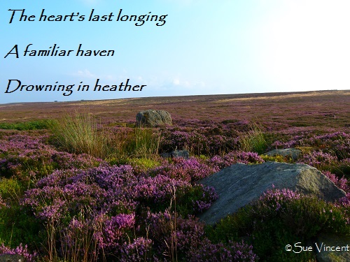 The heart’s last longing A familiar haven Drowning in heather