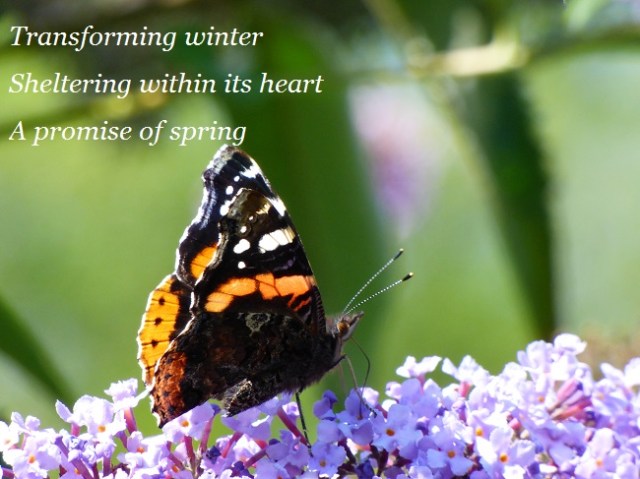 Transforming winter Sheltering within its heart A promise of spring