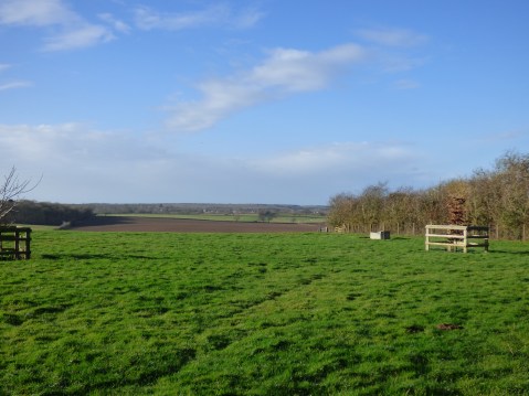 scotland trip jan 15 005