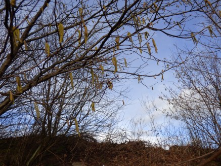 scotland trip jan 15 014