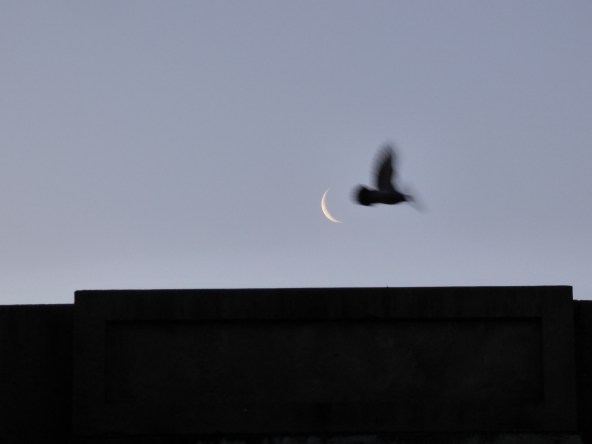 scotland trip jan 15 016