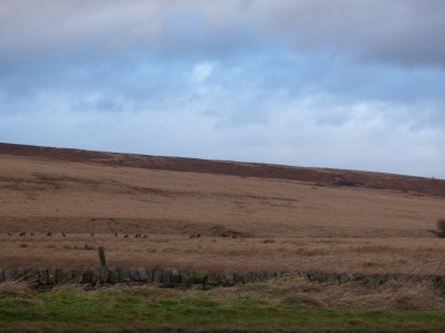 scotland trip jan 15 135