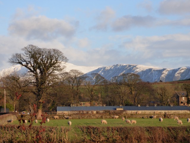 scotland trip jan 15 405