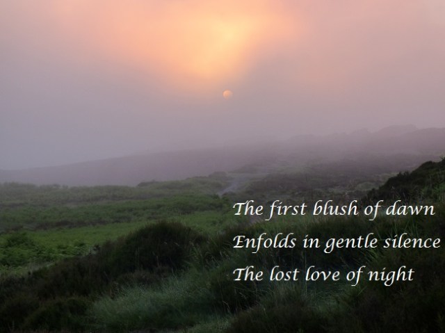 The first blush of dawn Enfolds in gentle silence The lost love of night