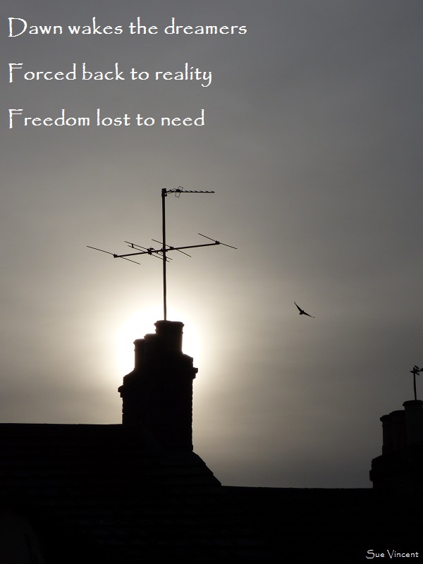 Dawn wakes the dreamers, forced back to reality,freedom lost to need