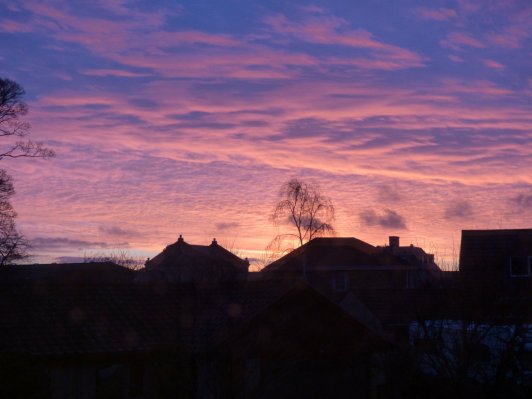 scotland trip jan 15 005