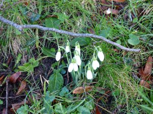 scotland trip jan 15 009