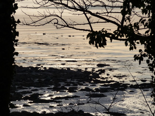 scotland trip jan 15 035