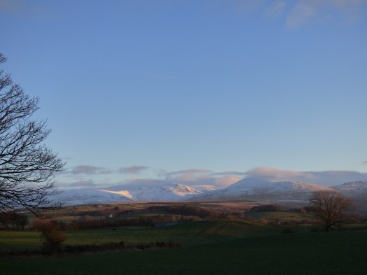 scotland trip jan 15 050