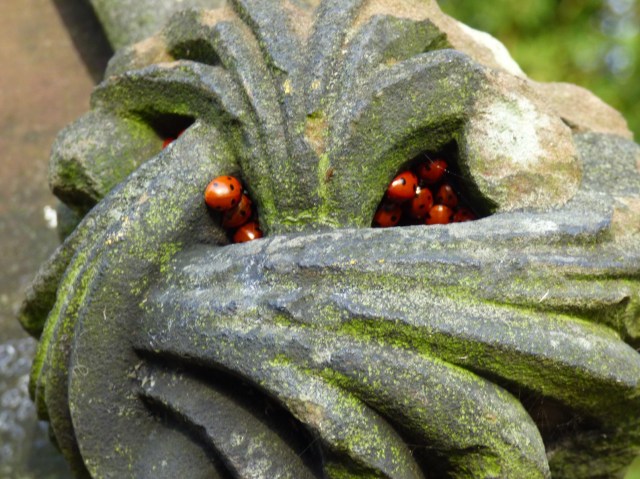 scotland trip jan 15 061