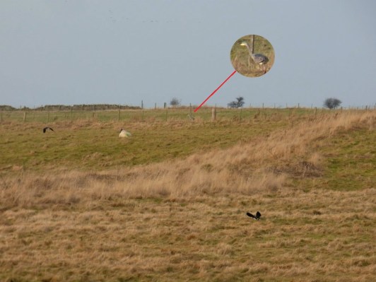 scotland trip jan 15 42288