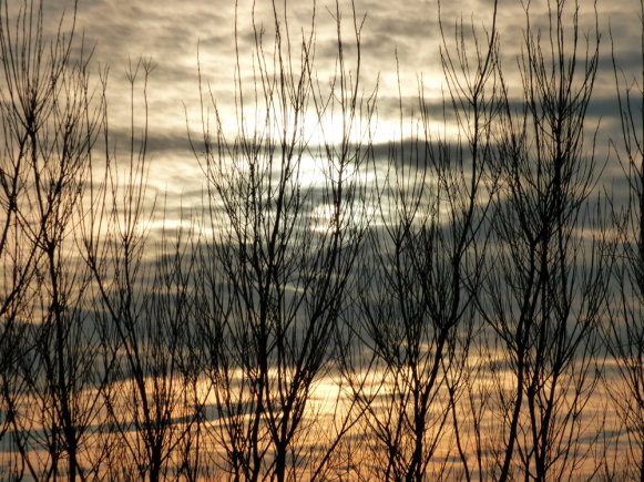 scotland trip jan 15 465