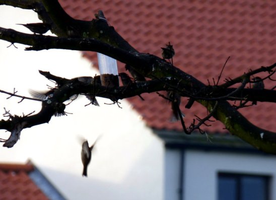 scotland trip jan 15 487