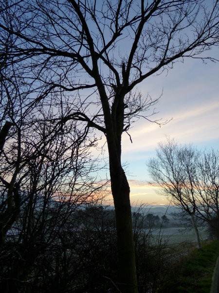 scotland trip jan 15 586