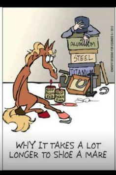 d213e6e8ebc854e824d4778165d6613f