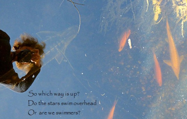 so which way is up? do the stars win overhead or are we swimmers