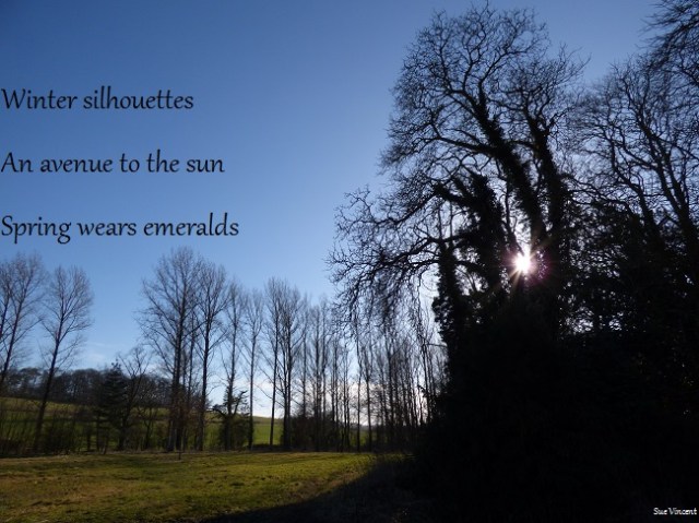 Winter silhouettes an avenue to the sun spring wears emeralds