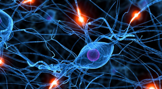 PKR-Inhibitor-May-Improve-Learning-and-Memory