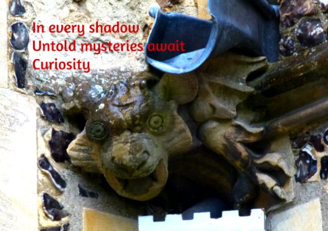 In every shadow, untold mysteries await curiosity