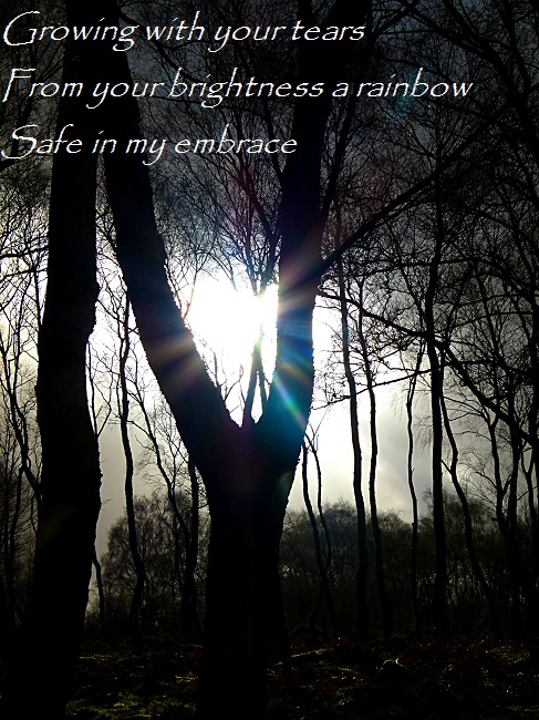 Growing with your tears From your brightness a rainbow Safe in my embrace