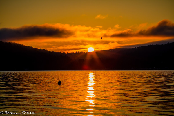 Hood Canal - Potlatch-22