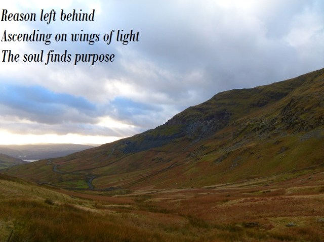 Reason left behind Ascending on wings of light The soul finds purpose