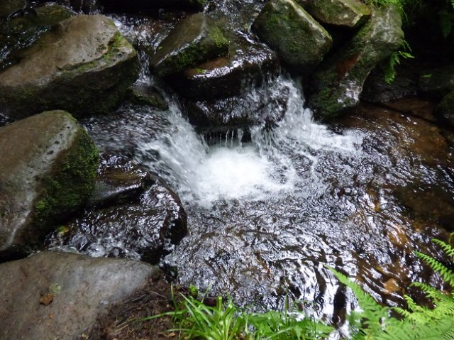 moorland stream