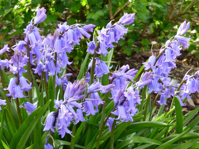 river of the sun SE15 002