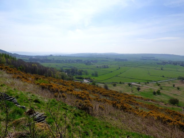 river of the sun SE15 019