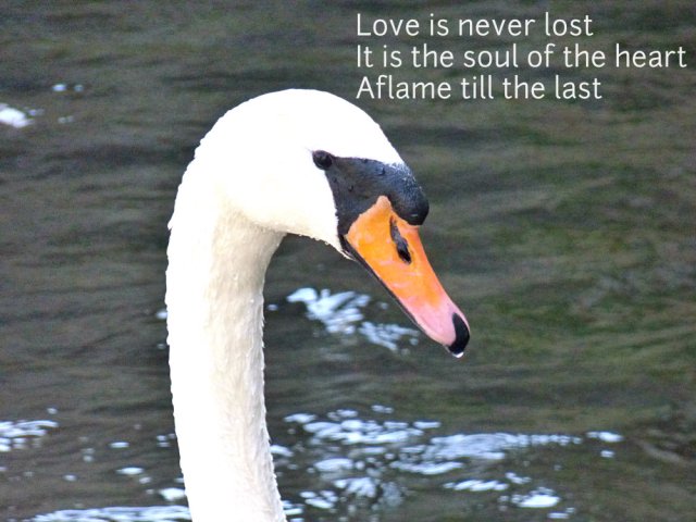Love is never lost It is the soul of the heart Aflame till the last