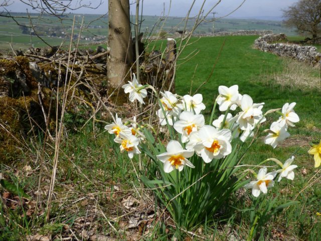 river of the sun SE15 058