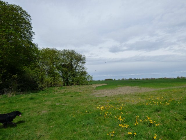 spring walk kite 061