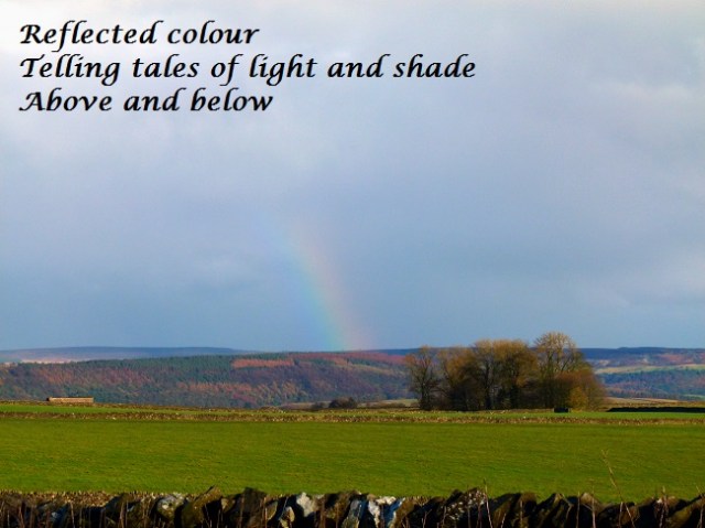 reflected colour telling tales of light and shade above and below