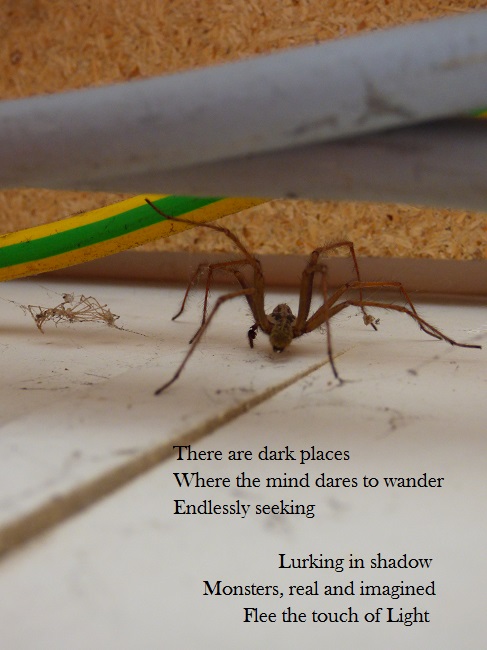 There are dark places Where the mind dares to wander Endlessly seeking  Lurking in shadow Monsters, real and imagined Flee the touch of Light