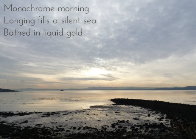 Monochrome morning Longing fills a silent sea Bathed in liquid gold
