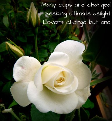 Many cups are charged Seeking ultimate delight Lovers charge but one