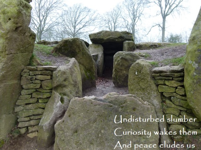 Undisturbed slumber Curiosity wakes them And peace eludes us