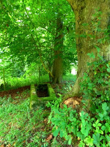 Ibstone, stone trough