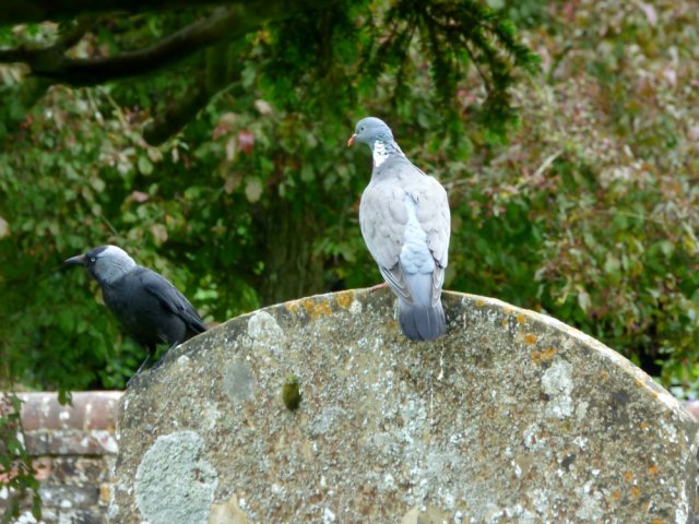 Avebury SE weekend 522