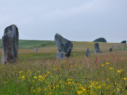 Avebury SE weekend 989