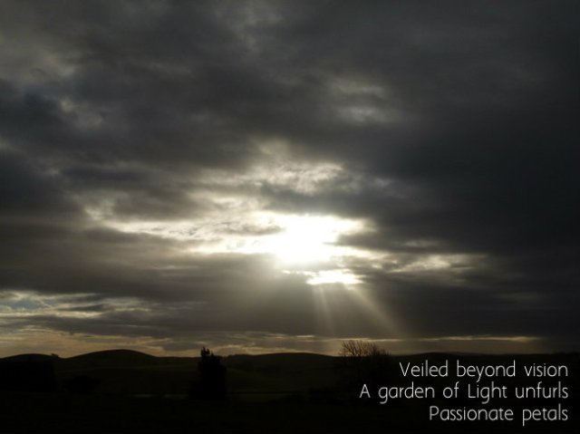Veiled beyond vision A garden of Light unfurls  Passionate petals