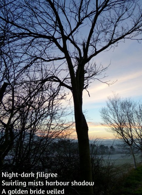 Night-dark filigree Swirling mists harbour shadow A golden bride veiled